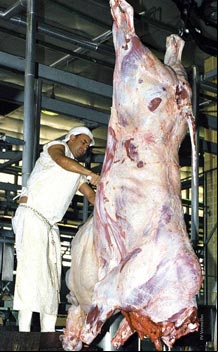 Programa de qualidade de carne