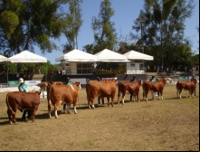 Fenagro 2009