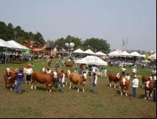 Expointer 2010