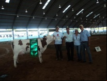 SP Interlactea 2013